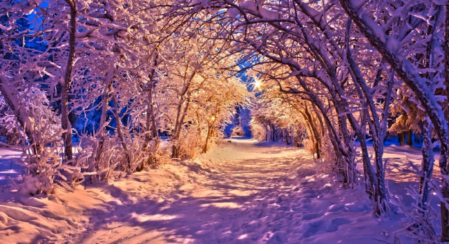 Обои картинки фото природа, зима, огни, фонари, скамья, парк, лес, деревья, дорога, beautiful, white, winter, nature, снег, road, forest, пейзаж, lights, lanterns, park, bench, trees, path, sunset, snow, nice, cool