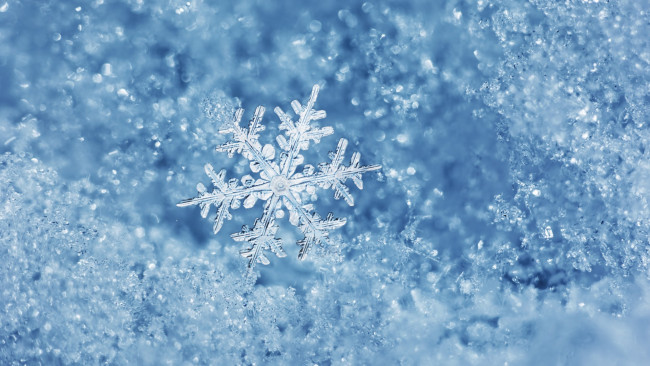 Обои картинки фото природа, макро, зима, вода, лёд, снежинка, лед