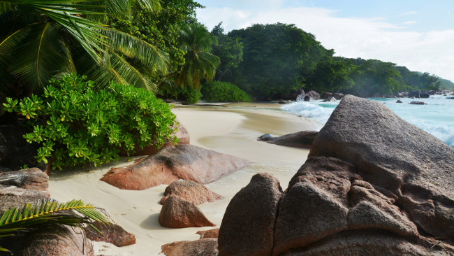 Обои картинки фото природа, тропики, море, пляж, пальмы, песок, солнышко