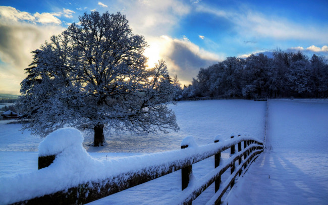 Обои картинки фото природа, зима, дорога, деревья, снег, забор
