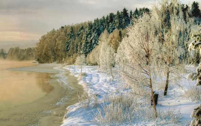 Обои картинки фото природа, зима, фото, деревья, побережье, снег, река