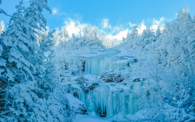 Обои картинки фото природа, зима, лед, деревья, снег, небо, лес