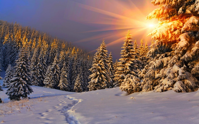 Обои картинки фото природа, зима, снег, небо, пейзаж, nature, winter, sky, white, beautiful, forest, path, road, cool, nice, snow, sunset