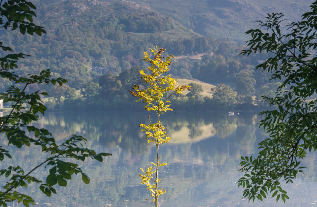 Обои картинки фото природа, реки, озера, осень, деревья, склон, озеро, горы