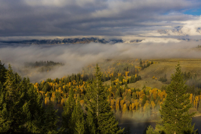Обои картинки фото grand teton national park wyoming, природа, пейзажи, облака, лес, парк, туман