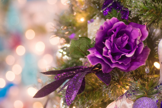 Обои картинки фото праздничные, мишура,  гирлянды,  цветы, праздник, новый, год, рождество, елка, украшения, снег, чудеса