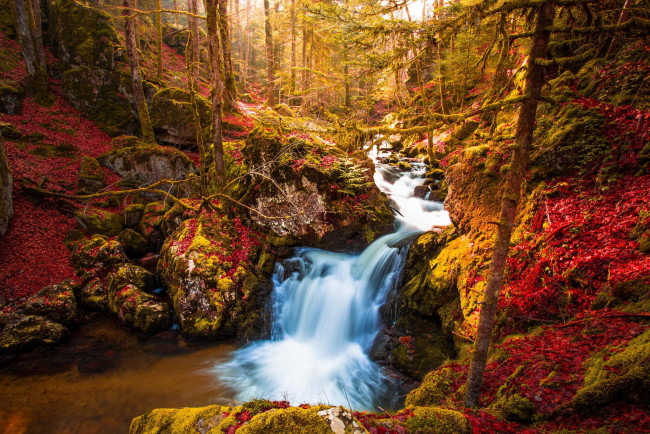 Обои картинки фото природа, водопады, осень, лес, деревья, водопад