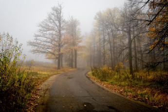 Картинка природа дороги пейзаж дорога туман
