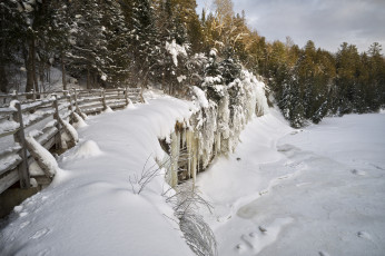 Картинка природа зима лес снег поле