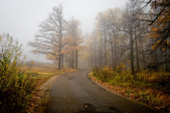 Обои картинки фото природа, дороги, пейзаж, дорога, туман