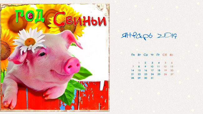 Обои картинки фото календари, праздники,  салюты, цветок, подсолнух, ромашка, свинья, поросенок