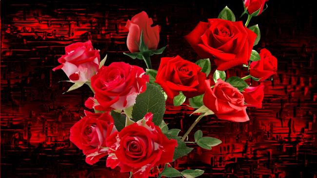 Обои картинки фото цветы, розы, алые, букет