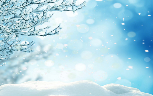 Обои картинки фото рисованное, природа, ветки, снег