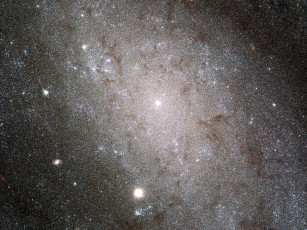 Картинка ngc 300 космос галактики туманности