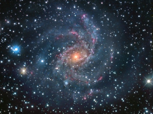 Картинка ngc 6946 космос галактики туманности