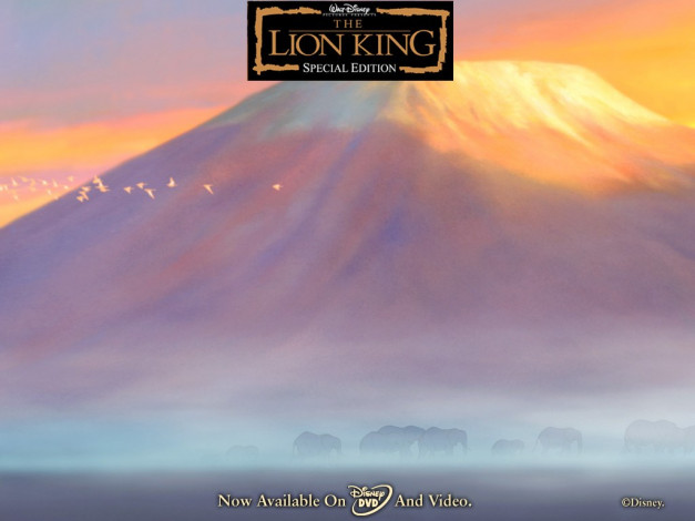 Обои картинки фото мультфильмы, the, lion, king