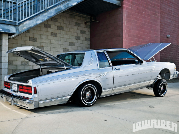 Обои картинки фото 1986, chevy, caprice, автомобили, chevrolet