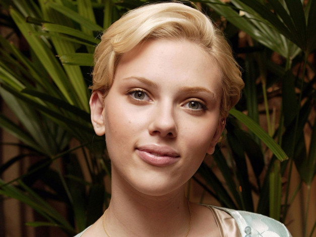 Обои картинки фото Scarlett Johansson, девушки