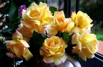 Картинка цветы розы букет желтый