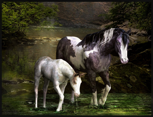 Обои картинки фото 3д, графика, animals, животные, лошади, река