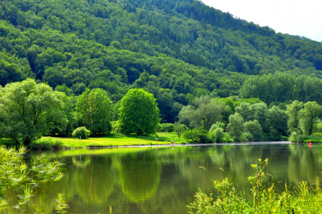 Обои картинки фото природа, реки, озера, красота, река, лето, деревья
