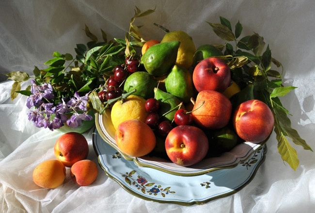 Обои картинки фото еда, натюрморт, черешни, инжир, абрикос, лимон, яблоко, персики, глициния