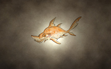 Картинка акула рисованные минимализм рыба зубастая