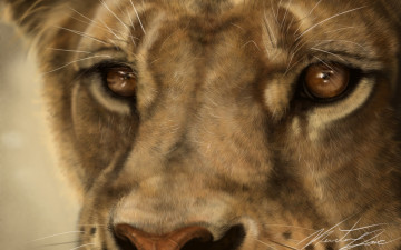 Картинка разное компьютерный+дизайн хищник кошка лев львица морда макро усы арт дикая