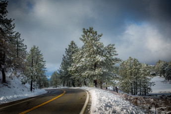 Картинка природа дороги снег шоссе лес