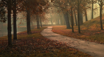 Картинка природа парк деревья озеро туман осень листья