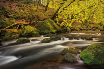 Картинка природа реки озера камни река деревья лес течение