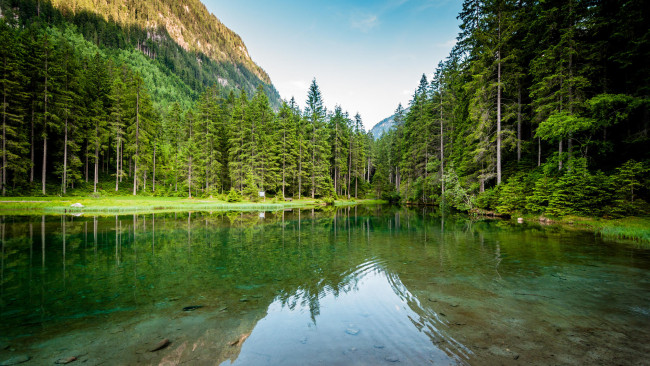 Обои картинки фото природа, реки, озера, озеро, austria, pinzgau, лес, blausee