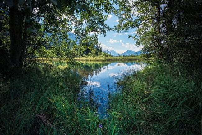 Обои картинки фото природа, реки, озера, деревья, водоем