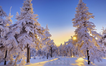 обоя календари, природа, снег, деревья, 2018