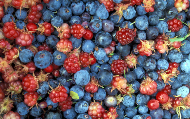 Обои картинки фото еда, фрукты,  ягоды, костяника, голубика, ягоды