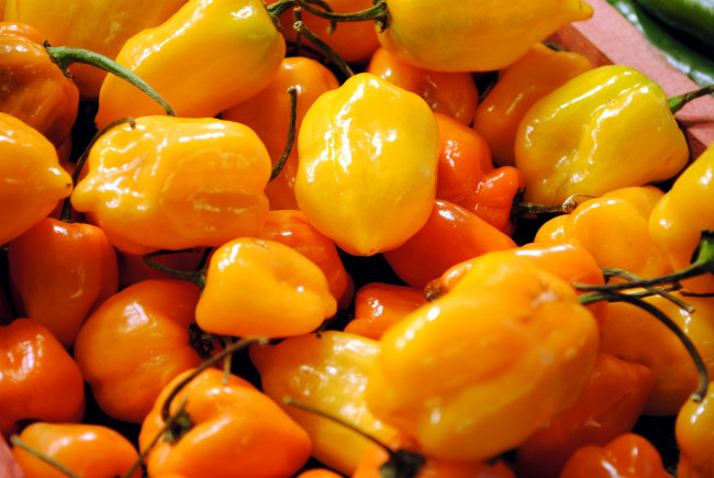 Обои картинки фото еда, перец, желтый, оранжевый, болгарский