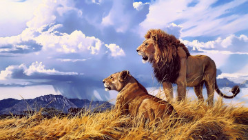 обоя рисованное, животные,  львы, рисунок, картина, львы, лев, львица, хищники, африка, савана, трава, млекопитающие