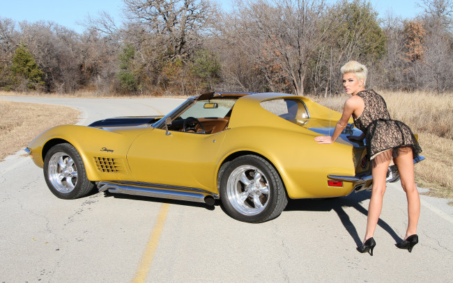 Обои картинки фото автомобили, -авто с девушками, красивая, девушка, corvette