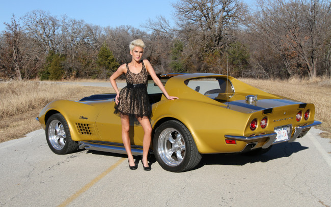 Обои картинки фото автомобили, -авто с девушками, красивая, девушка, corvette