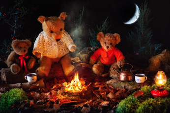 Картинка разное игрушки костер лампа чай луна медведи плюшевые