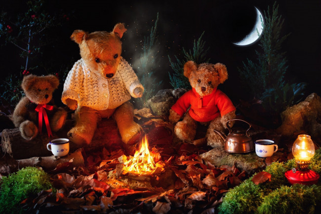 Обои картинки фото разное, игрушки, костер, лампа, чай, луна, медведи, плюшевые
