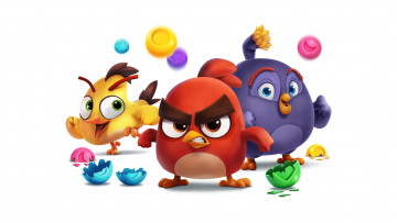 обоя angry birds dream blast, видео игры, ---другое, птицы, фон, обои, игра, белый, картинка, angry, birds, на, рабочий, стол, rovio, dream, blast