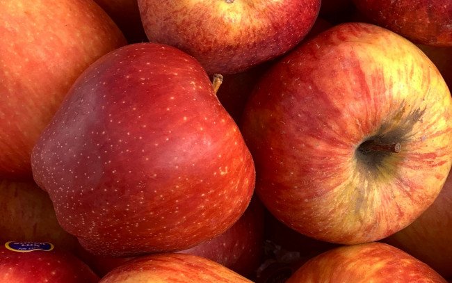 Обои картинки фото еда, яблоки, краснобокие, макро