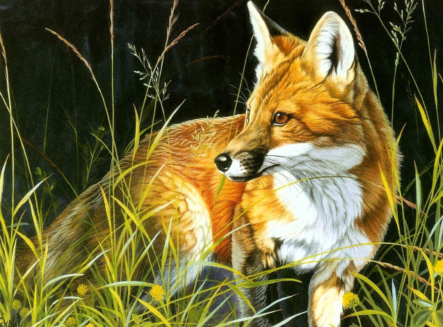 Обои картинки фото рисованное, животные,  лисы, лиса, трава