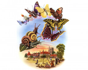 Картинка рисованные животные насекомые