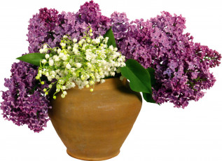 Картинка цветы разные вместе ваза ландыши сирень май весна