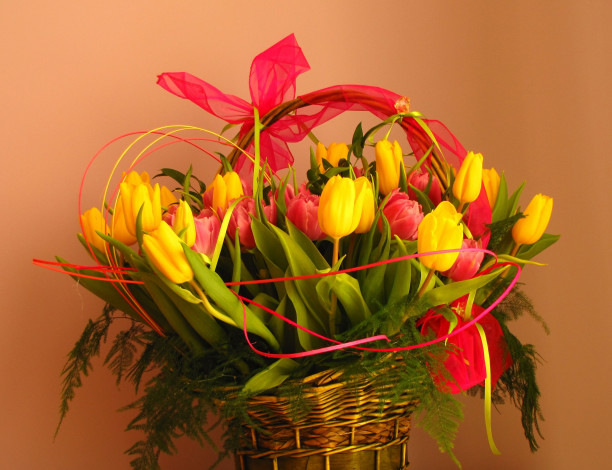 Обои картинки фото цветы, тюльпаны, корзинка, лента