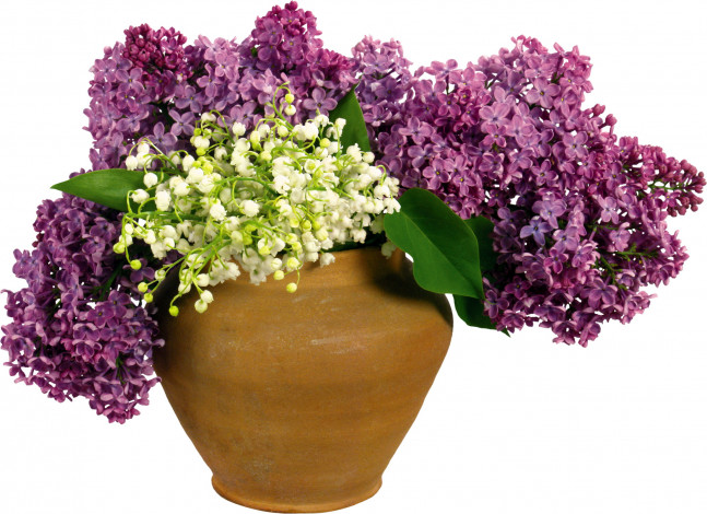 Обои картинки фото цветы, разные, вместе, ваза, ландыши, сирень, май, весна