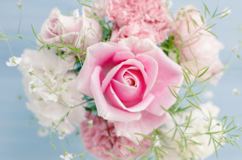 Картинка цветы букеты композиции розы гвоздики