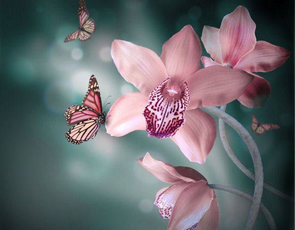 Обои картинки фото разное, компьютерный, дизайн, цветы, орхидеи, бабочки